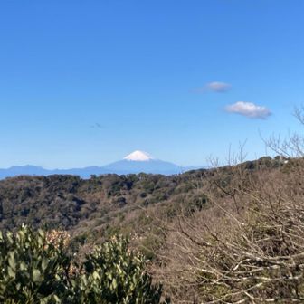 そして名にたがわず、山頂からは富士山がきれいに見えました！