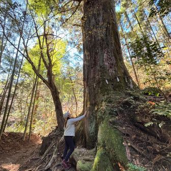 パワーをいただきます✨