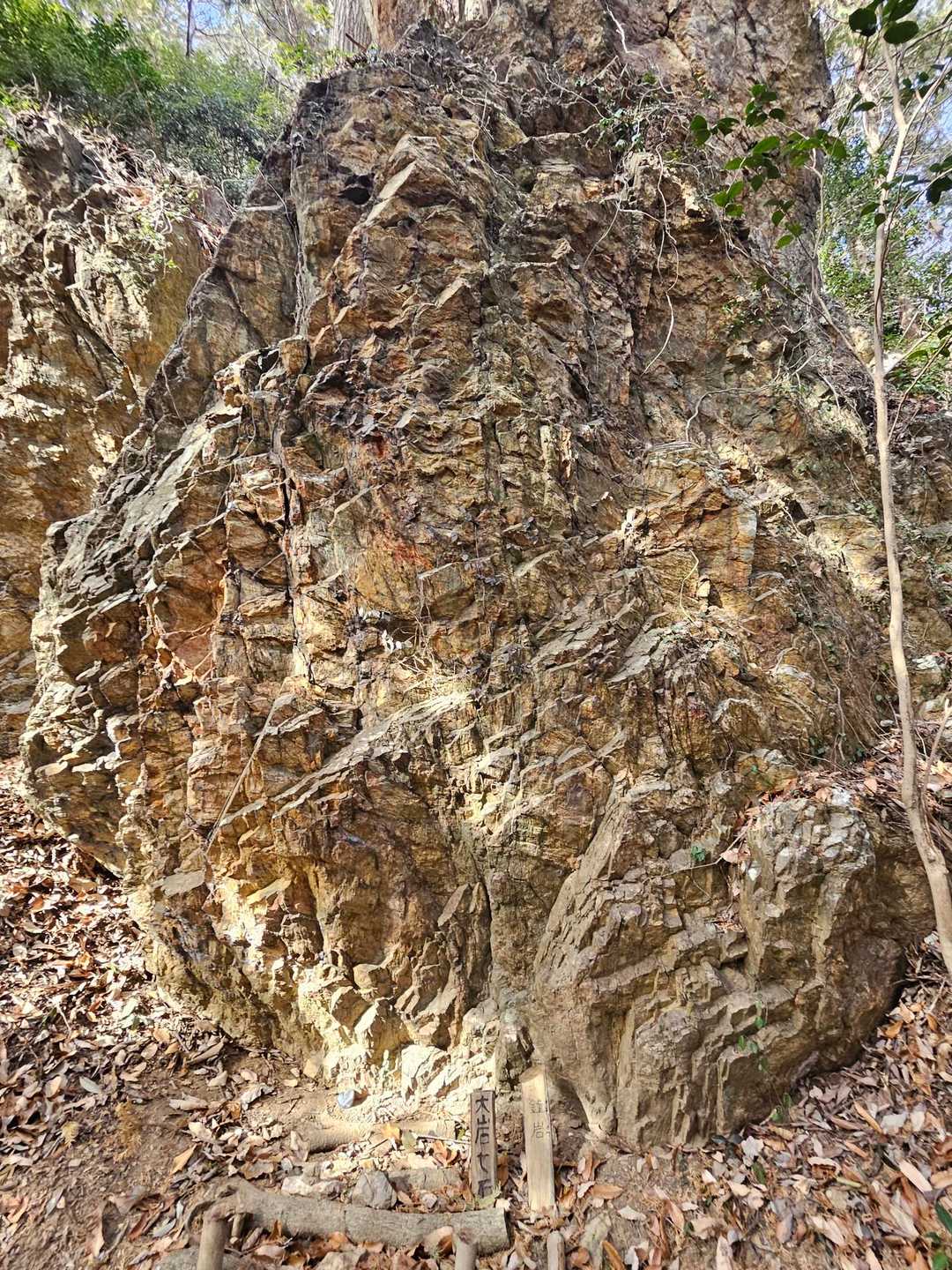 大岩山-行道山 周回コースの写真