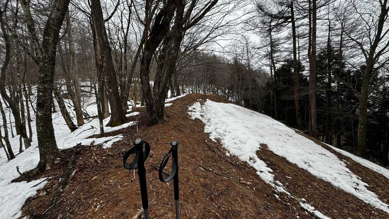 奥多摩、石尾根テン泊縦走（鴨沢〜七ツ石山〜鷹ノ巣山〜六ツ石山〜奥多摩駅） の写真 60