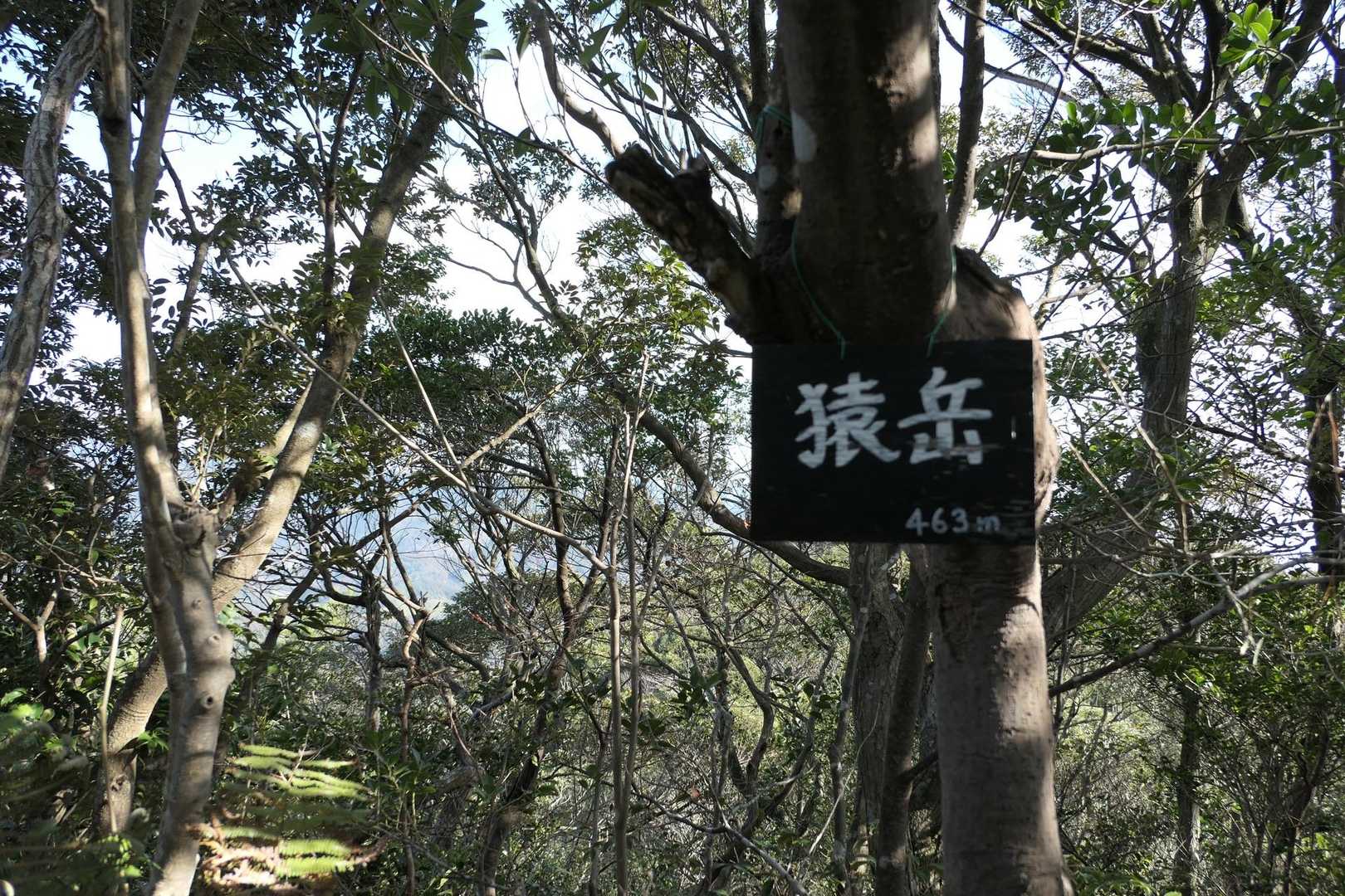 アップダウンのすえ、猿岳へ