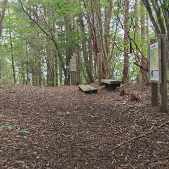 3座目▲讃岐竜王山（1050m）に着きました🏃

広くて整備されてますが…