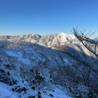 日が当たるとキレイ