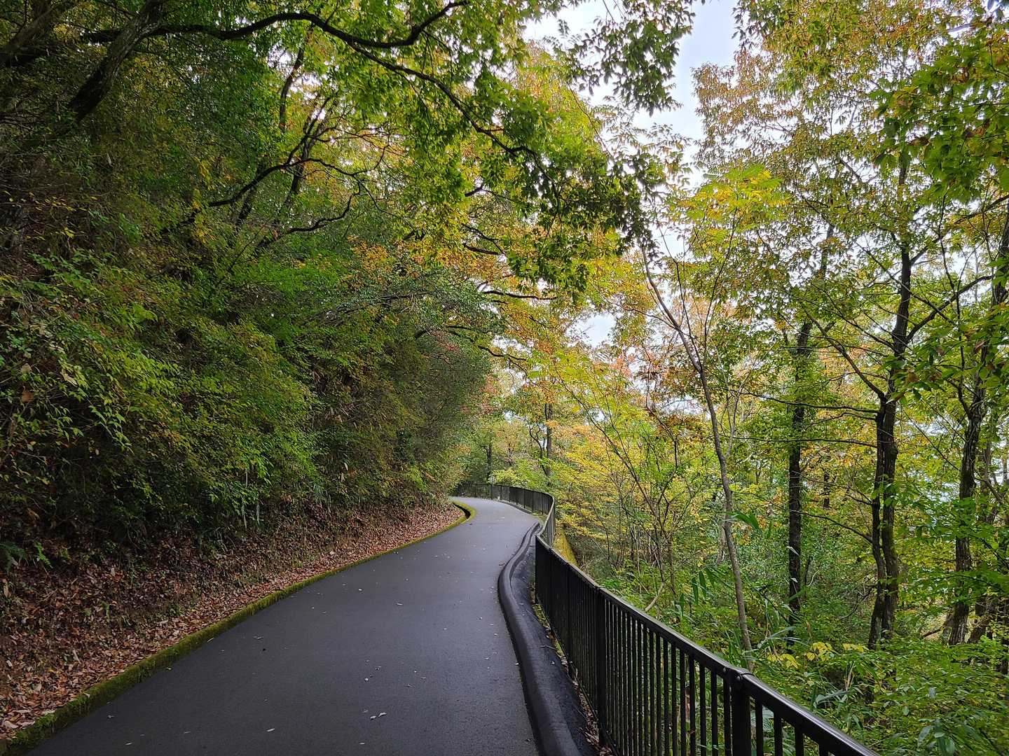こんな舗装された道。
駅裏登山口や表米神社登山口から登ると山道だったみたいで、そっちの方がよかったな、残念💦
予習不足でした💦