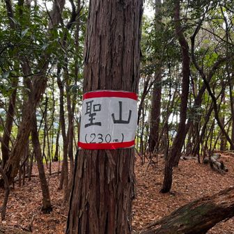 聖山✨
もうちょっと案内板頑張ってあげてー。そもそも板でもない！