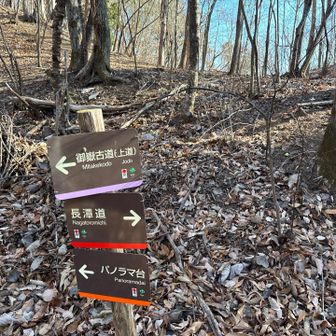 降り始めました