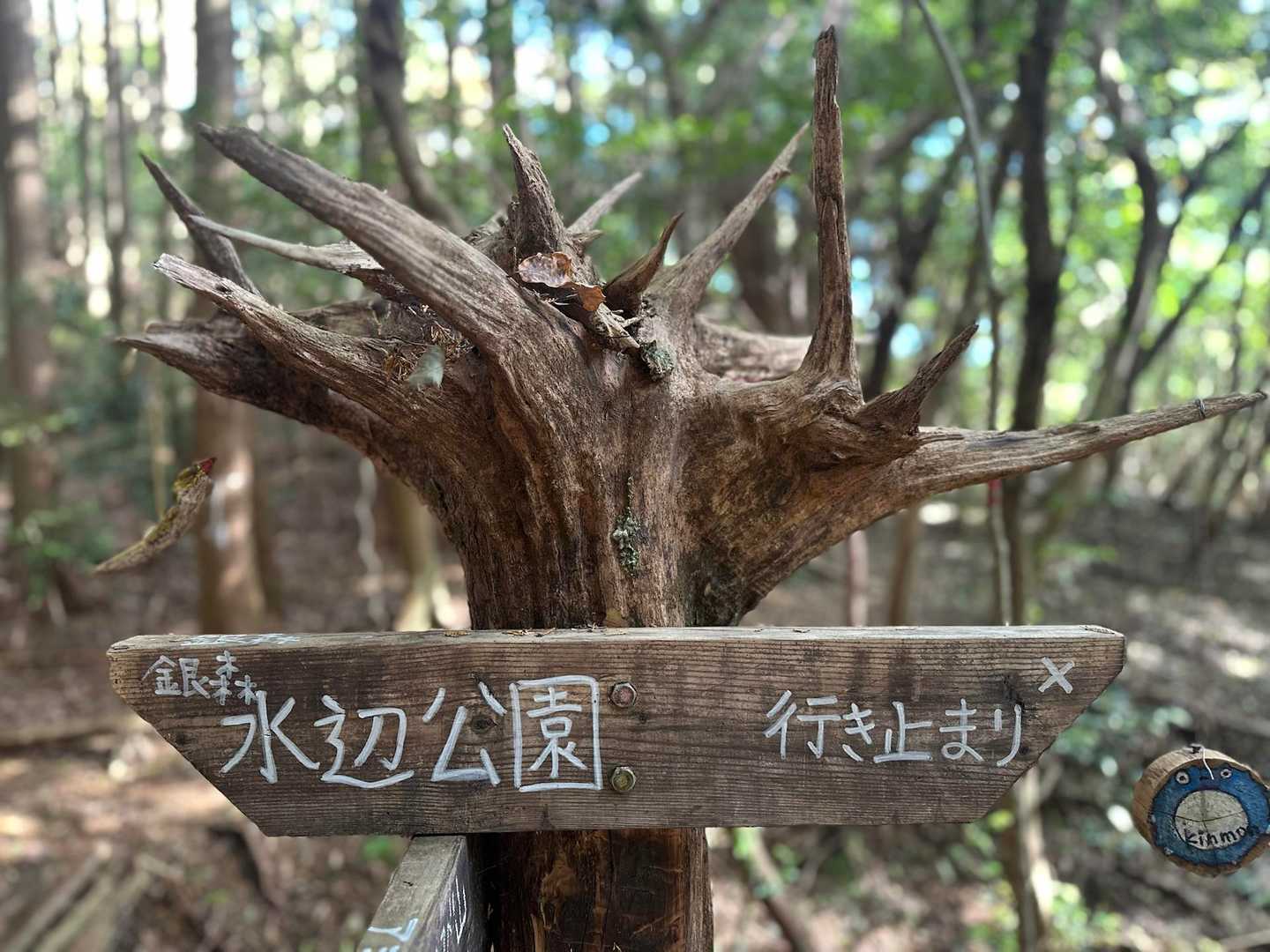 オブジェのような、、🤩