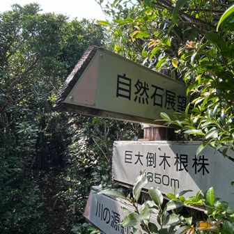 展望台　ビジターセンター兄さんお勧め