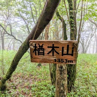 楢木山⛰️登頂🚩