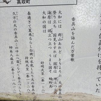 人麻呂も持統天皇も歌に詠んだ地に、来て立っている、不思議不思議、