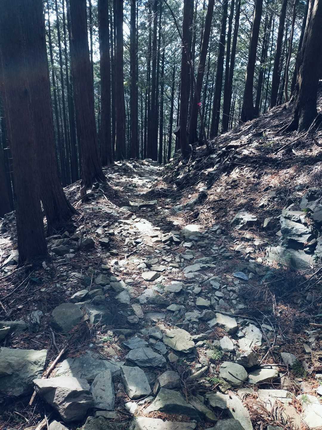 熊野古道の石畳風w