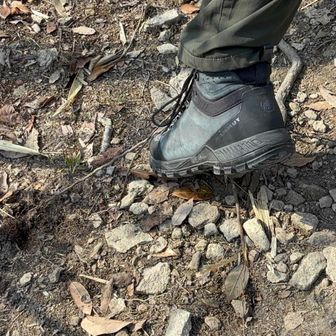 根っこのトラップに注意⚠️