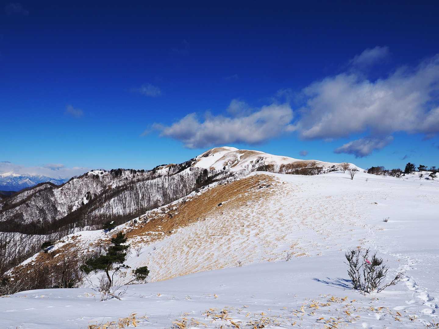 この辺は雪が深い。