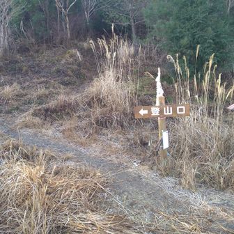 5合目登山口の駐車場を通過して、当面造林小屋を目指して進みます🚶
