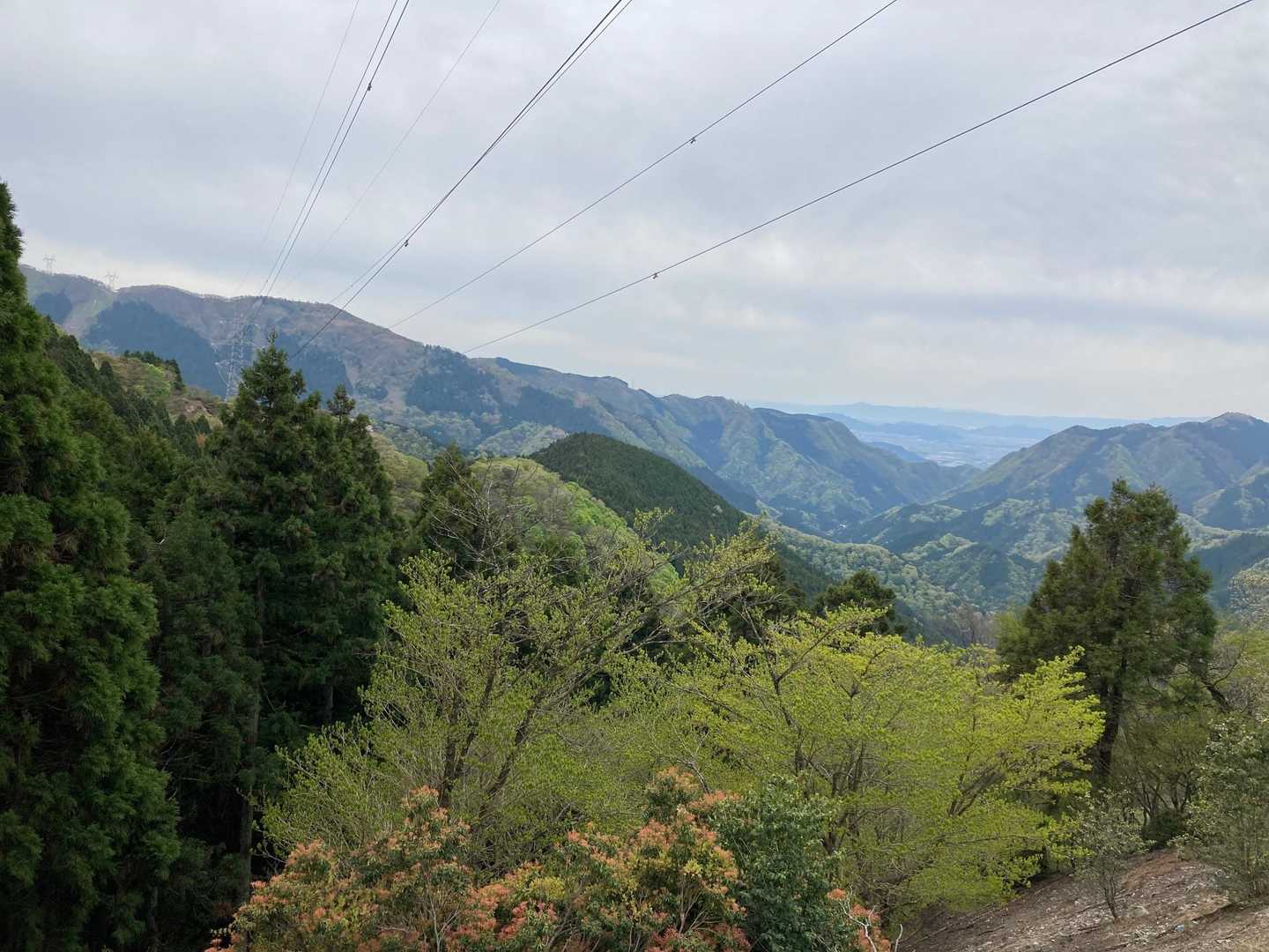 いなべ市方面見えました(^^)