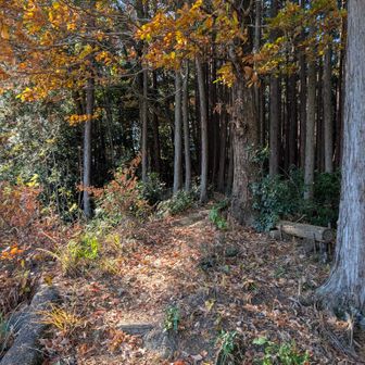 ススメススメ
ﾌﾝｽﾌﾝｽ