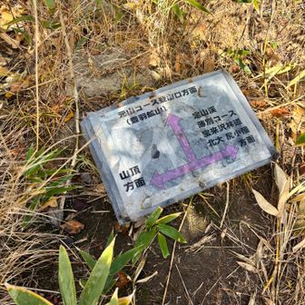 元山コースは冬山時期に通れそう
今時期は薮がすごいです