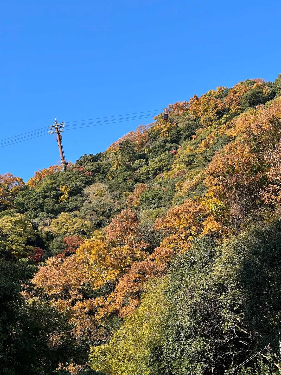 ロープウェイ🚡が見える👀