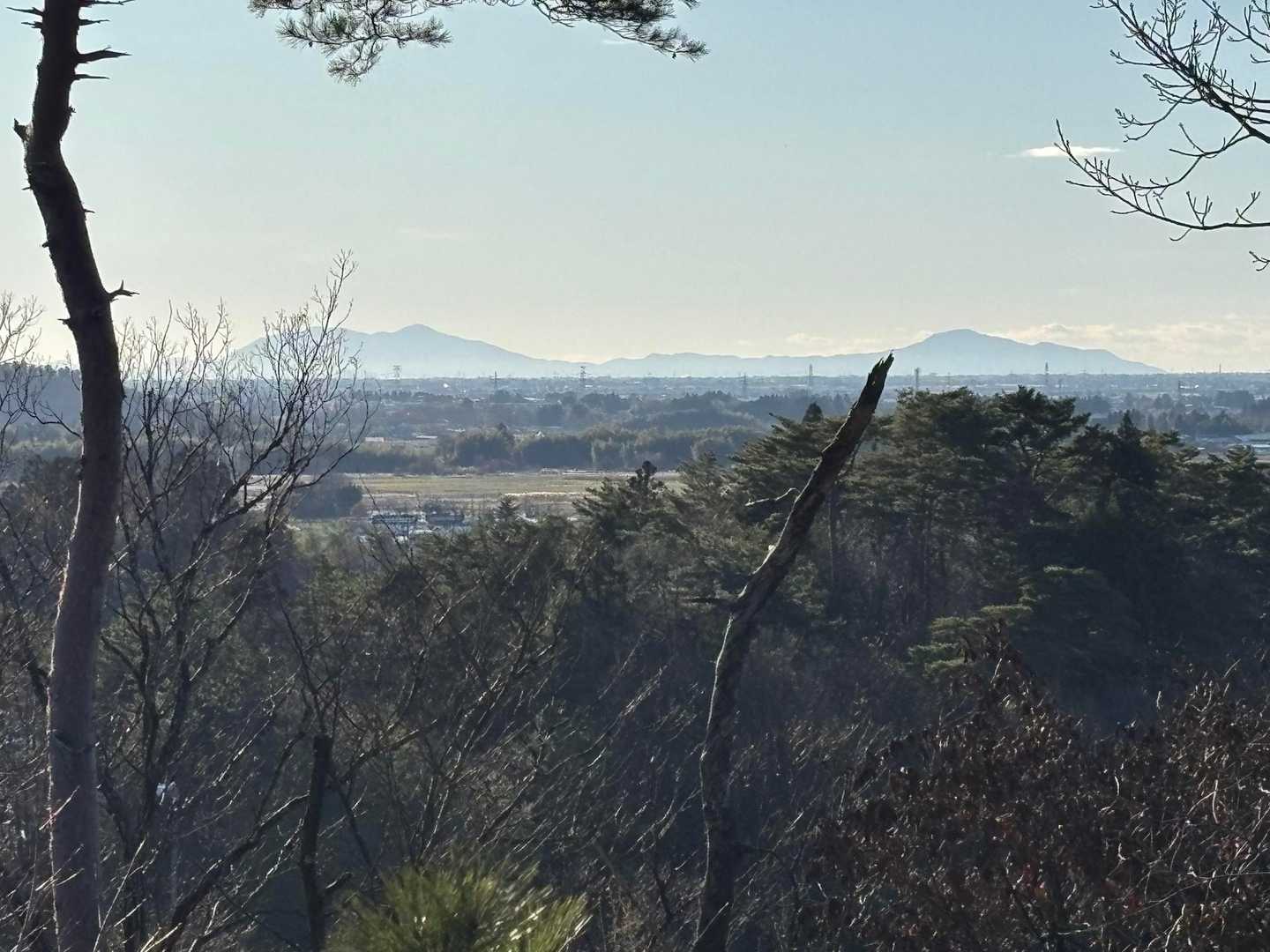 角田弥彦も見えました〜😍