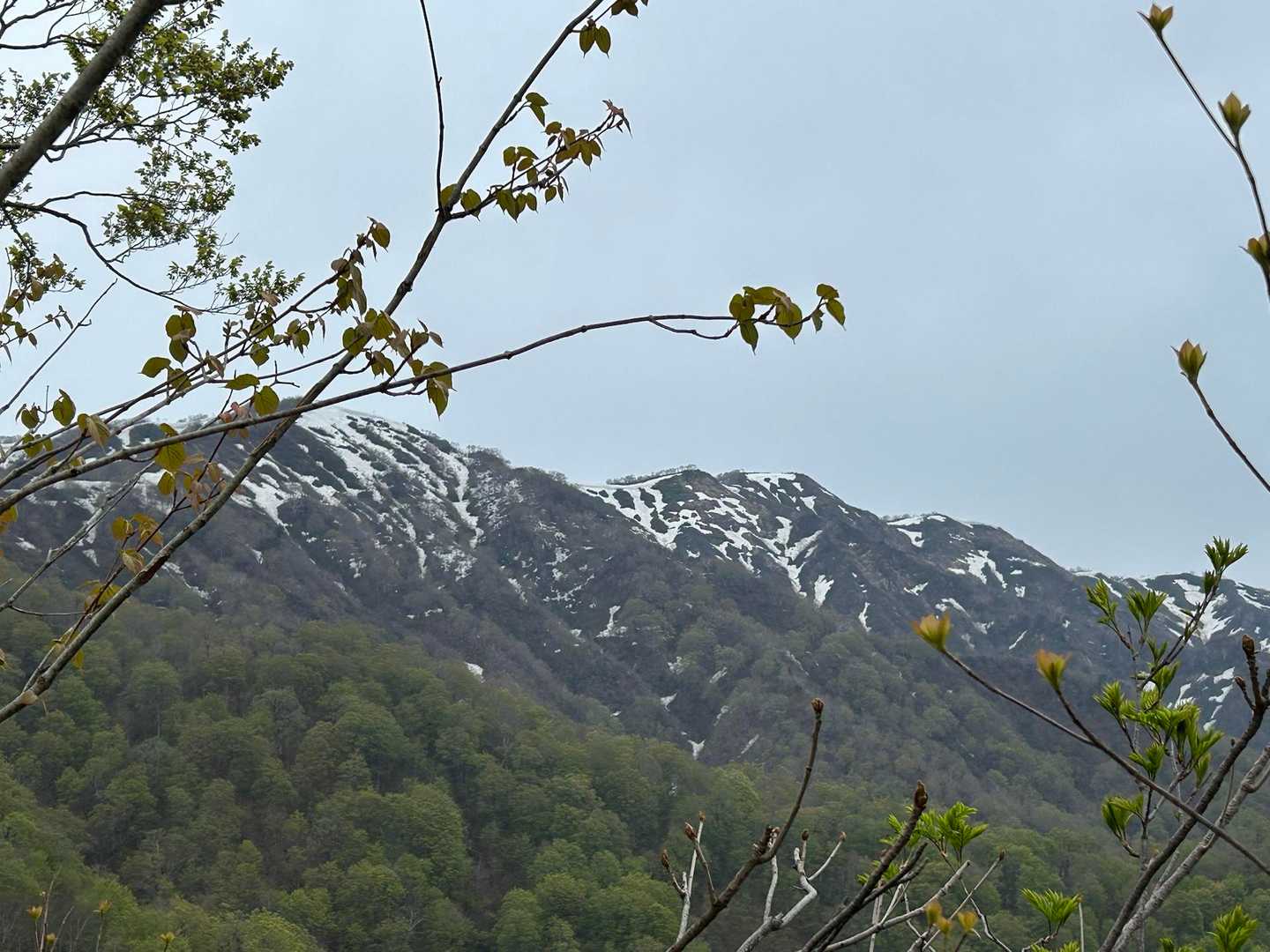 巻岩山→疣岩山→三国岳へ