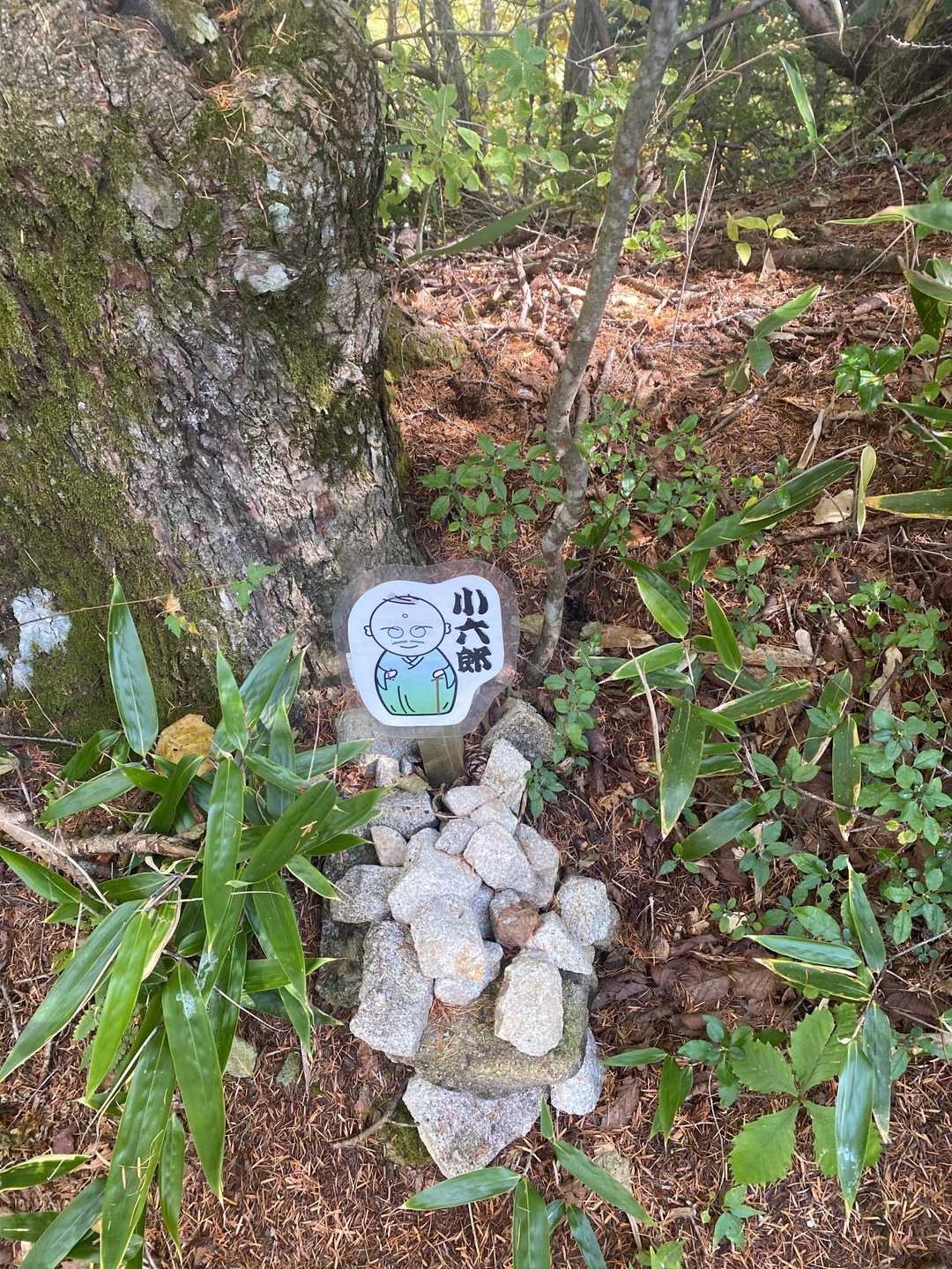 鳩打峠-小八郎岳-鍵懸山 周回コースの写真
