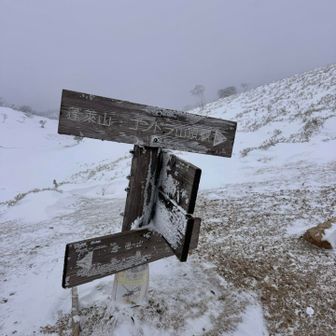 小女郎峠到着。
グレーな世界。