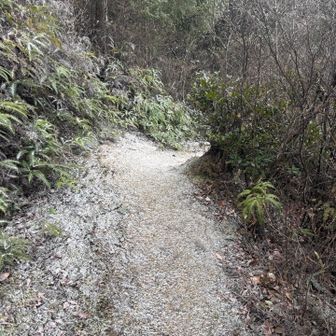 あっという間に積もり始める

先に車で待ってまた皆で合流
無事帰りました
ほんとに寒い日でした