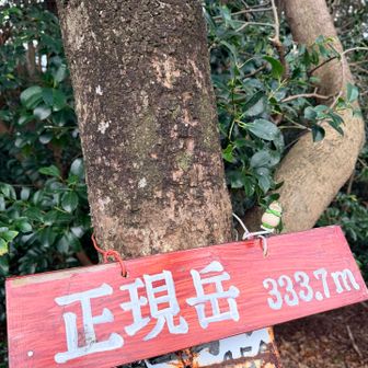 あっという間に到着🙌