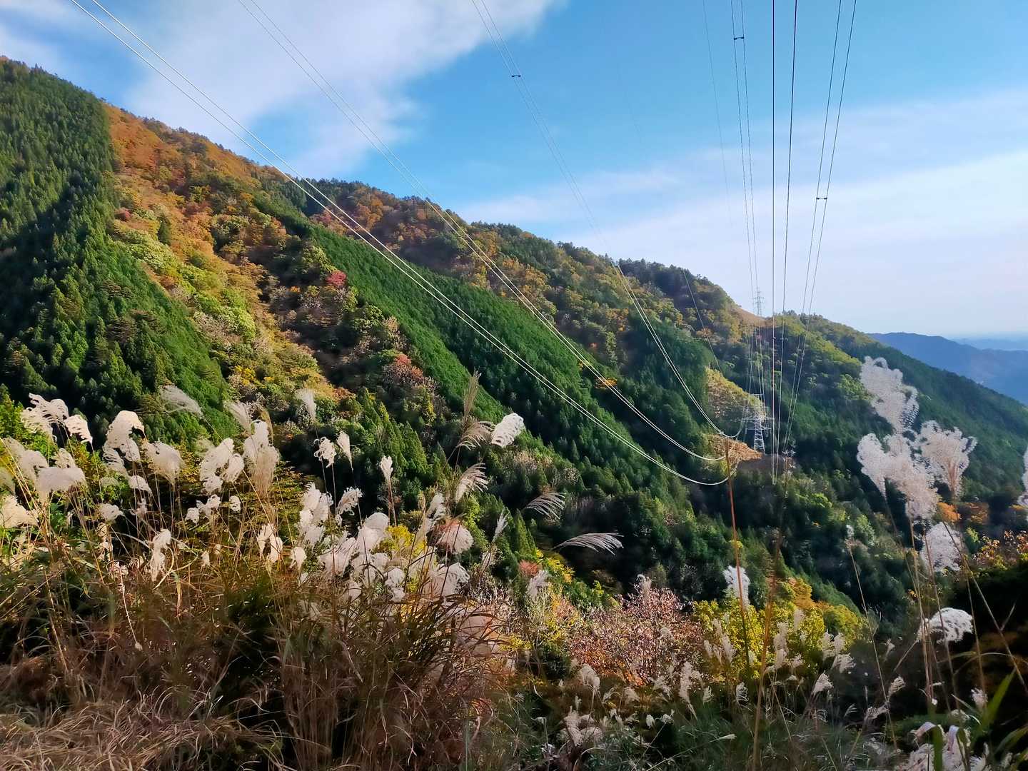 紅葉が綺麗🍁