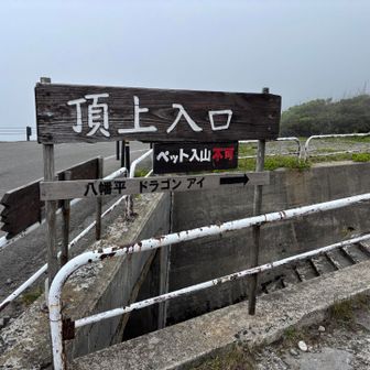 ペット入山不可！