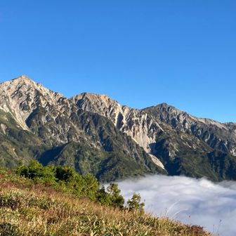 白馬三山がよく見えました。白馬鑓ヶ岳、杓子岳、白馬岳です。