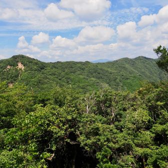 高畑山方面