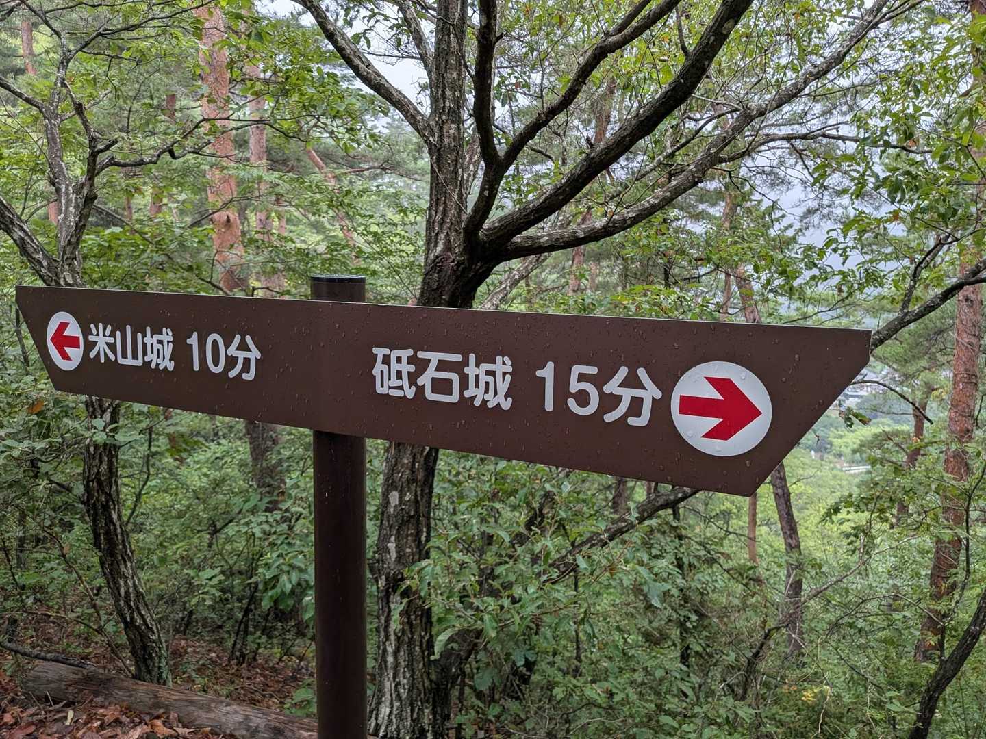米山城跡に行かねば！
