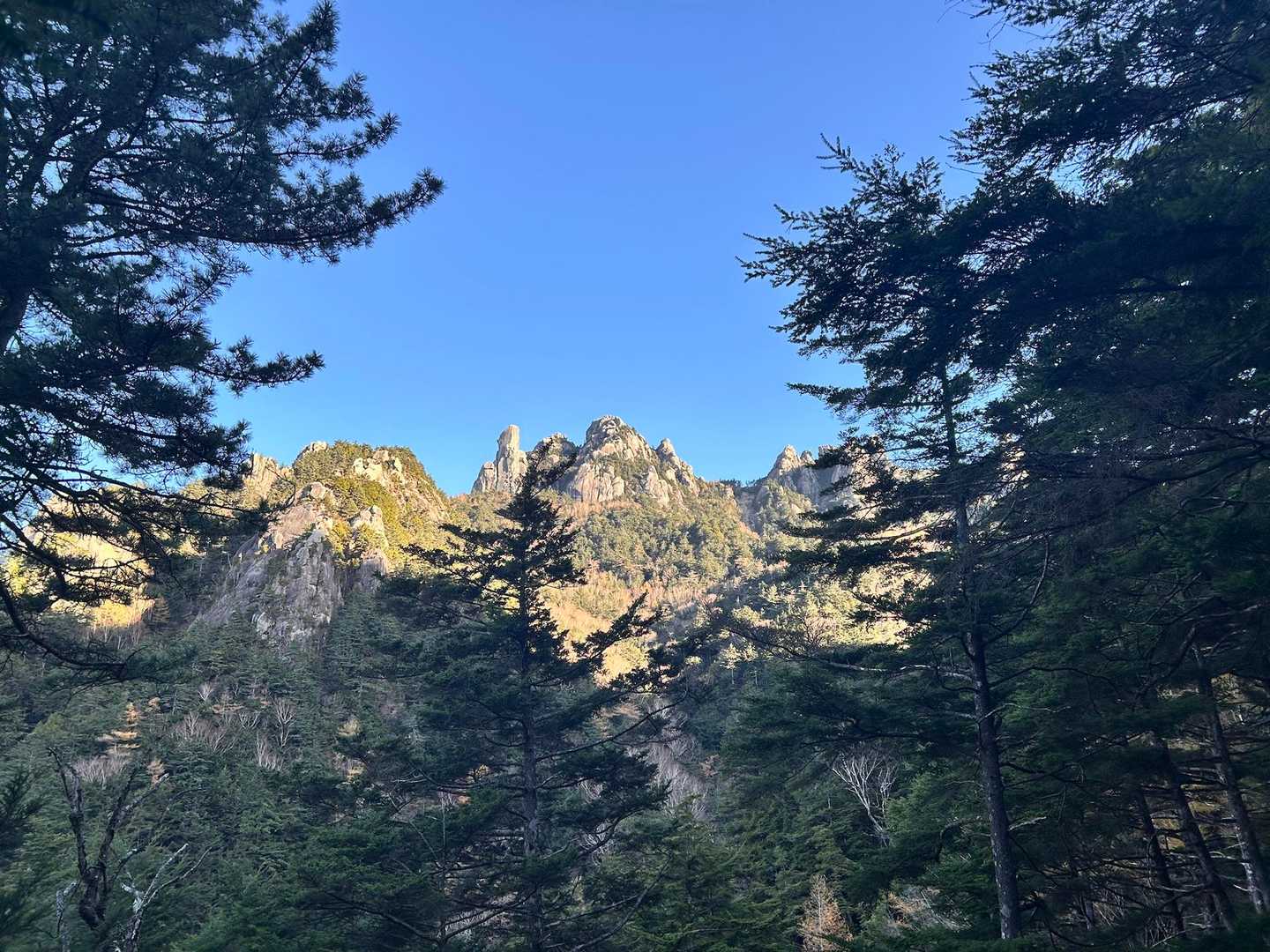 瑞牆山荘コース | 奇岩・巨岩の連続がかき立てる冒険心と、苔むした森が醸す癒しの写真