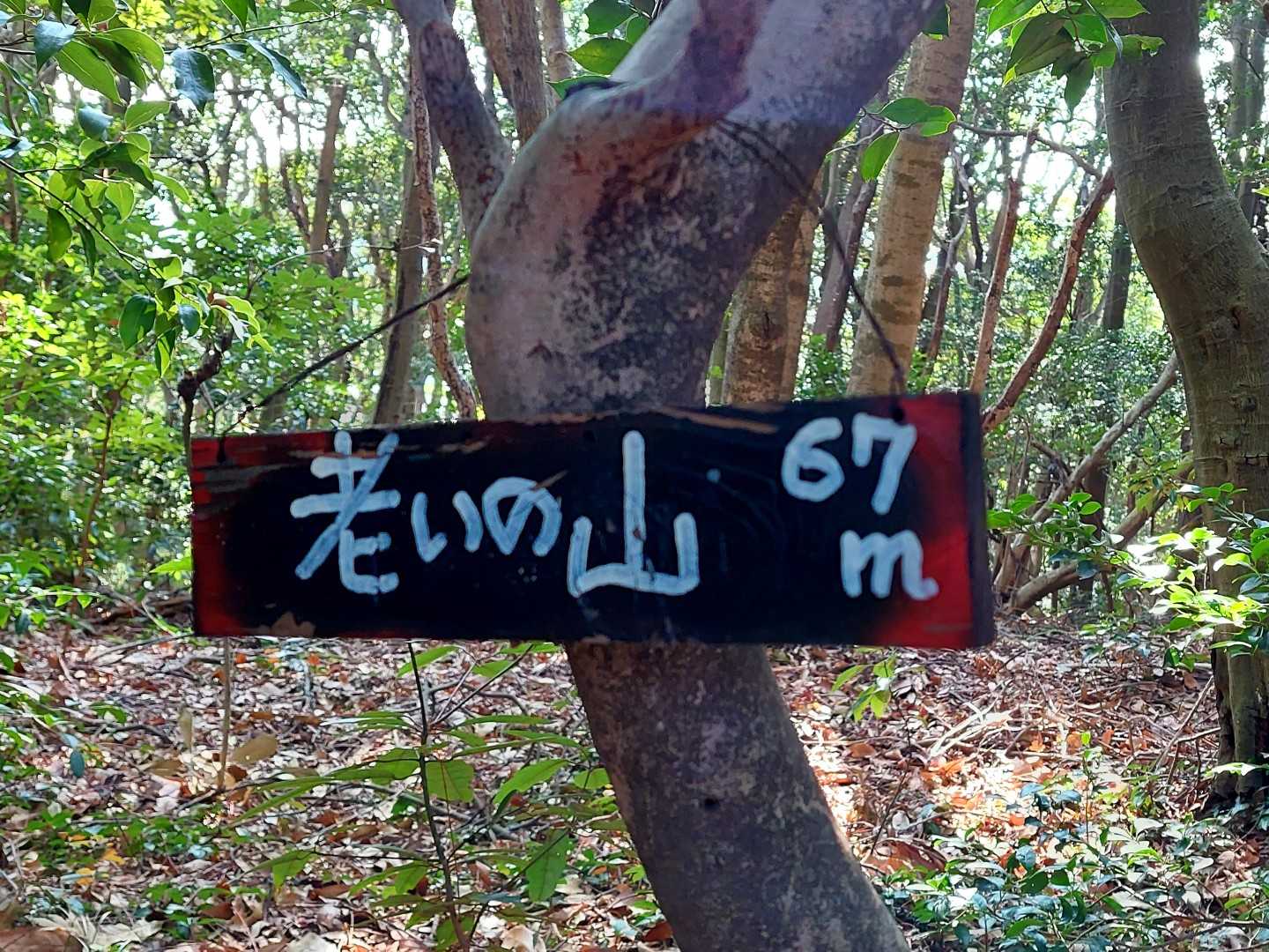 ビックリ👀する程の高さではないか😁木札がステキ😃