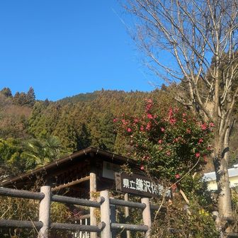 集落の中に突然休憩所