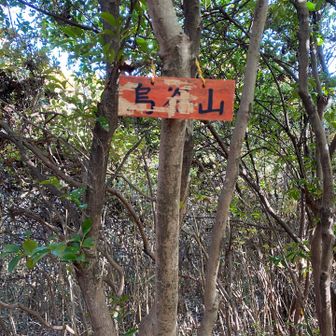 10座ゲット達成😸