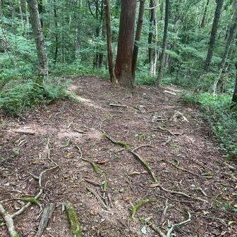 もうすぐ終わり。歩きやすい。