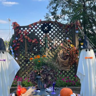 とちぎ花センターはハロウィン🎃