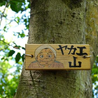ヤカエ山です。山頂らしくない斜面の途中です。こちらはカンタのおばあちゃん