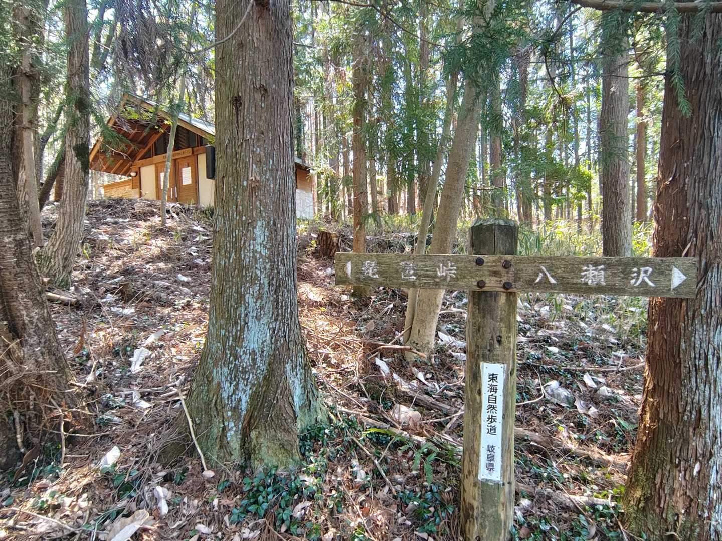 琵琶峠へ引き返します

🚻あり