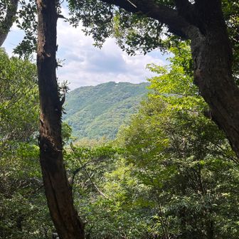 五井山のパラ場見える