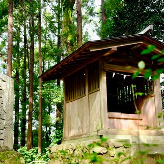 裏手から山頂に。眺望なし