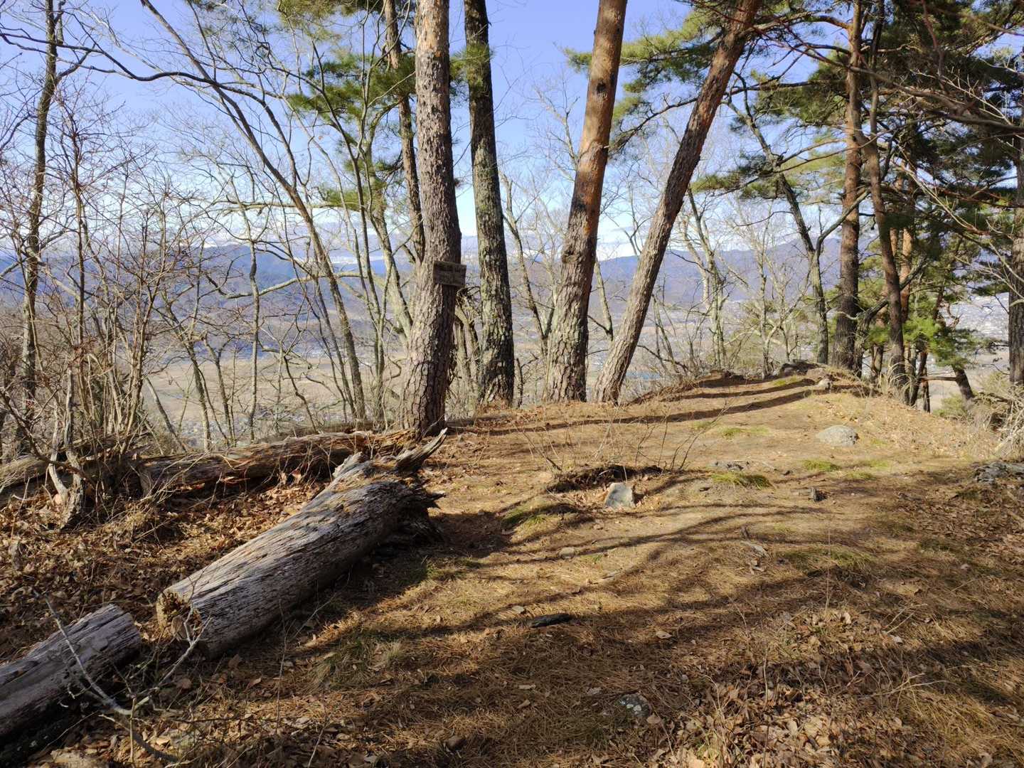 広い山頂です