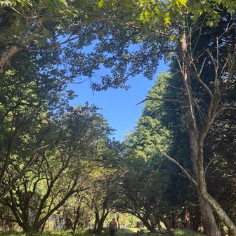 空は快晴。富士山方面は水蒸気で真っ白。