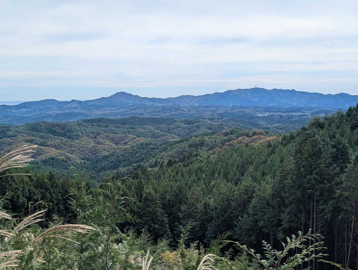 唯一の眺望😲
伐採され開けたこのあたりくらい

左：御岩山、右：高鈴山ですね