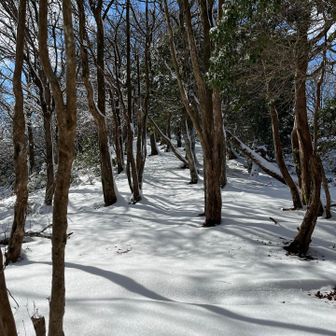 これから進むルートには、全く踏み跡のない新雪が🥰