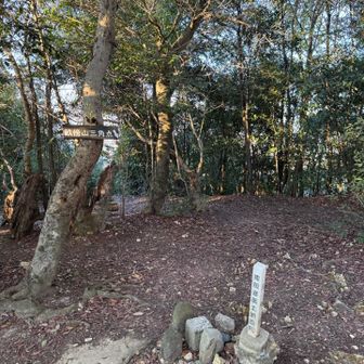 大和三山登頂完了🙌