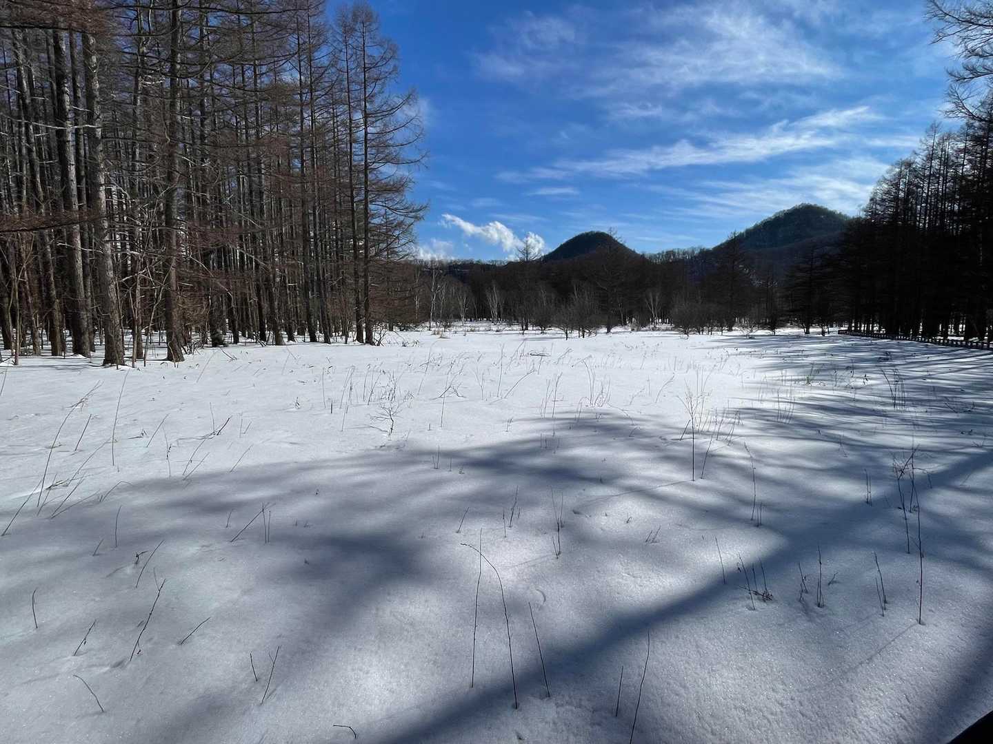高山 周回コースの写真