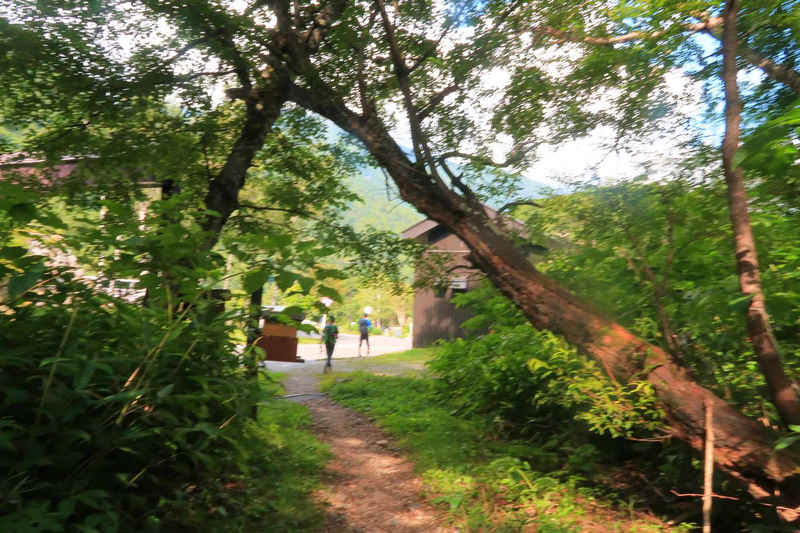 ひたすら降りて下山〜！暑い〜💦
この後車で七倉山荘駐車場まで乗せてもらいました🙇‍♂️ありがとうございました✨